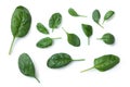 Spinach leaves, Spinacia oleracea, Spinaci foglie