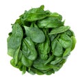 Spinach leaves, Spinacia oleracea, Spinaci