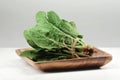 Spinach leaves tied in a bundle with a rope