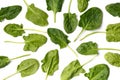 Spinach leaves on white background, top view, flat lay Royalty Free Stock Photo