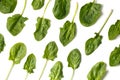 Spinach leaves on white background, top view, flat lay Royalty Free Stock Photo