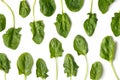 Spinach leaves on white background, top view, flat lay Royalty Free Stock Photo