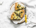 Spinach, leek, chicken, cheese pie on light background Royalty Free Stock Photo