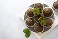 Spinach muffins. Healthy, vegan green muffins, top view. Copy space Royalty Free Stock Photo
