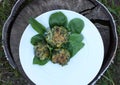 Spinach pancakes on a plate Royalty Free Stock Photo