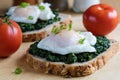 Spinach and poached egg on brown bread Royalty Free Stock Photo