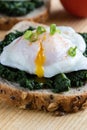 Spinach and poached egg on brown bread Royalty Free Stock Photo