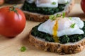 Spinach and poached egg on brown bread Royalty Free Stock Photo