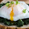 Spinach and poached egg on brown bread Royalty Free Stock Photo