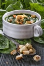 Spinach potage Royalty Free Stock Photo