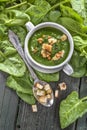 Spinach potage Royalty Free Stock Photo