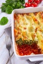 Baking Dish with Spinach & Ricotta Cannelloni Royalty Free Stock Photo