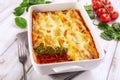 Baking Dish with Spinach & Ricotta Cannelloni Royalty Free Stock Photo