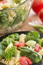 Spinach and rotini pasta salad Royalty Free Stock Photo