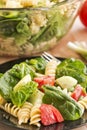 Spinach and rotini pasta salad Royalty Free Stock Photo