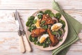 Spinach salad with egg, chiken, onion and pine nuts Royalty Free Stock Photo