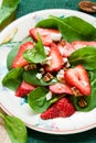 Spinach salad with strawberries Royalty Free Stock Photo