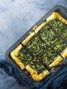 Spinach savory quiche with cream cheese Royalty Free Stock Photo