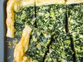 Spinach savory quiche with cream cheese Royalty Free Stock Photo