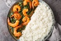 Spinach Shrimp Curry or Jheenga Palak cooked in a spinach, cream, spices, tomato and ginger served with rice closeup on the plate Royalty Free Stock Photo