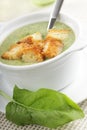 Spinach soup with croutons