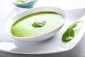 Spinach soup with green leaves in white plate Royalty Free Stock Photo