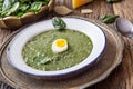 Spinach soup. Portion spinach soup with egg and cheese parmesan in retro style Royalty Free Stock Photo