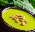 Spinach soup served on wooden board Royalty Free Stock Photo