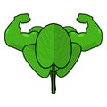 Spinach strong. Useful Herbs with big muscles. Green leaves lettuce powerful arms. Sports, dietetic food. Strong organic