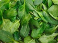 Spinacia oleracea. Fresh cut spinach leaves