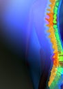 Highlighted spinal chord Royalty Free Stock Photo