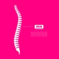 Spinal column vector icon