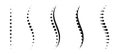 Spinal cord vector icons. Spine icon set. Simple set of spine vector icons. Vector spine icons Royalty Free Stock Photo