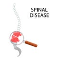 Spinal disease. Lumbar section through a magnifying glass.