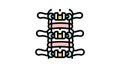 spinal fusion color icon animation