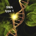 Spinal muscular atrophy, SMA, a genetic neuromuscular disorder