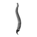 Spine cord vector icon Royalty Free Stock Photo