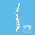 Spine diagnostics symbol or icon illustration