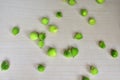 Spine gourd, Momordica dioica, kantola, kantoli, bhat karela and kakaura, a very healthy vegetable close up