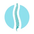 Spine human graphic sign in the circle Royalty Free Stock Photo