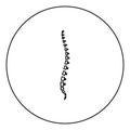 Spine human Spinal Lateral view Vertebras Dorsal vertebrae icon in circle round outline black color vector illustration flat