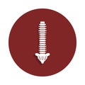 spine icon in badge style. One of organ collection icon can be used for UI, UX