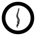 Spine icon black color in circle Royalty Free Stock Photo