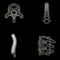 Spine orthopedic vertebra icons set vector neon