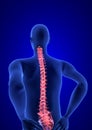 Spine Pain. Blue Human Anatomy Body 3D render on blue background