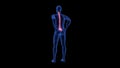 Spine Pain. Blue Human Anatomy Body 3D scan render on black background - seamless loop