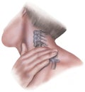 Spine - Pressure to Clavicle and Cervical Vertebrae Lateral View