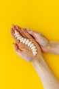 Spine skeleton model in hands. spinal diseases curvature concept