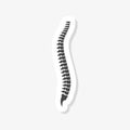 Spine structure sticker Royalty Free Stock Photo