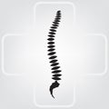 Spine vector